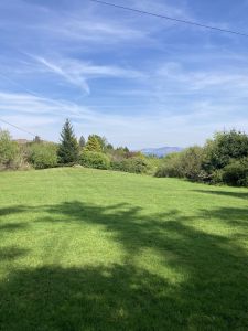 Doon Cottage Images doon cottage garden view2 authentic Irish cottage Kerry Way Tahilla