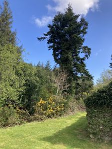 Doon Cottage Images doon cottage shed2 authentic Irish cottage Kerry Way Tahilla